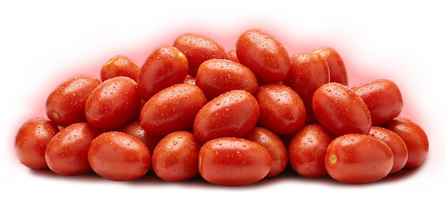 Pile of San Marzano tomatoes