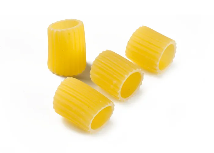mezzi_rigatoni