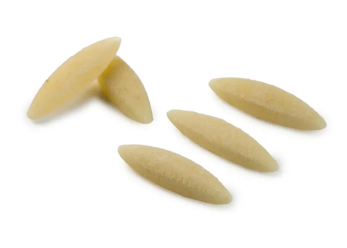 orzo