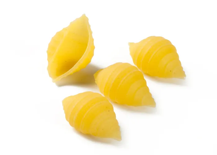shells