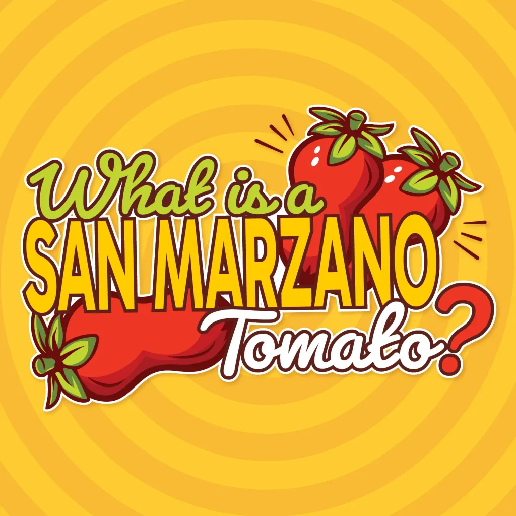 What is a San Marzano Tomato?